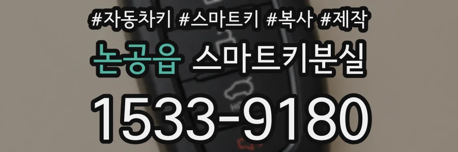 논공읍 스마트키분실
