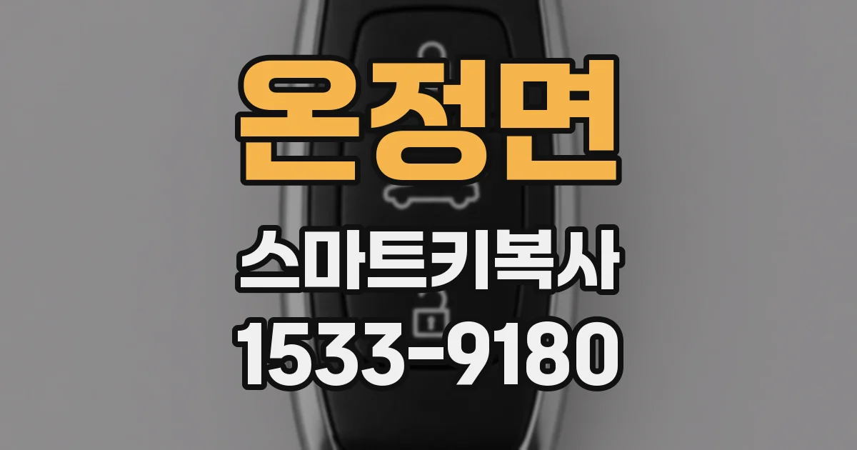 온정면 스마트키복사
