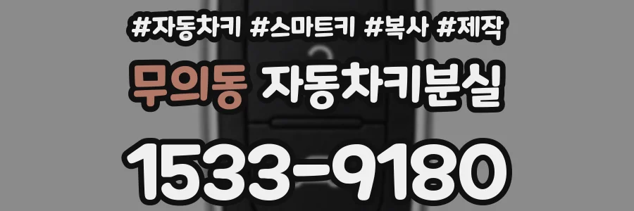 무의동 자동차키분실