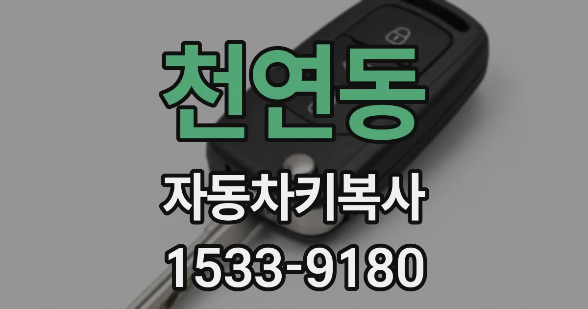 천연동 자동차키복사