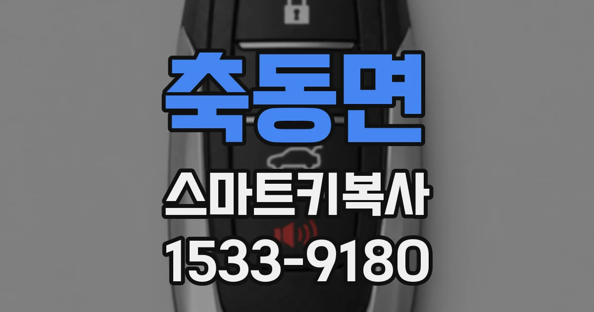 축동면 스마트키복사