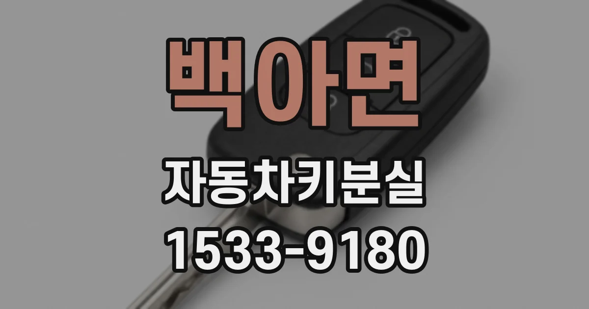 백아면 자동차키분실