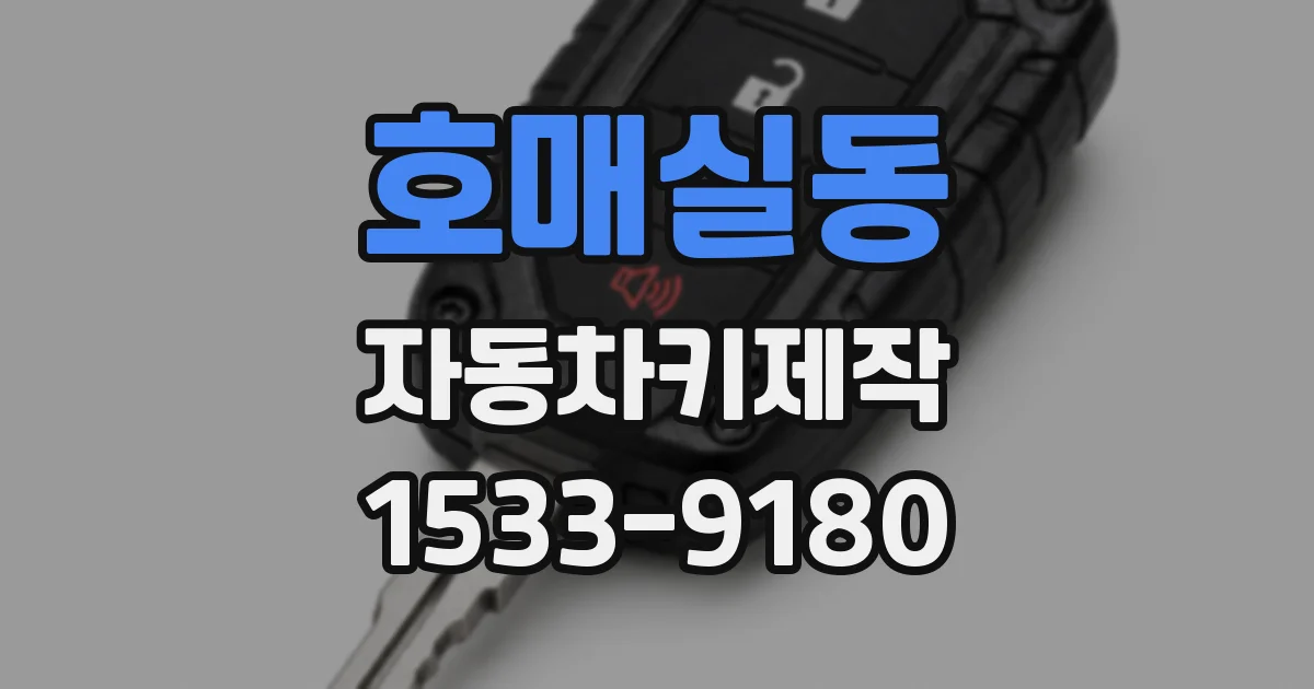 호매실동 자동차키제작