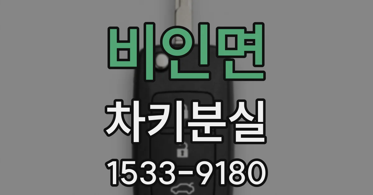 비인면 차키분실