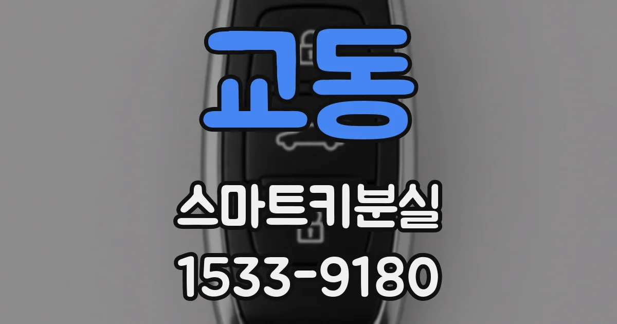교동 스마트키분실