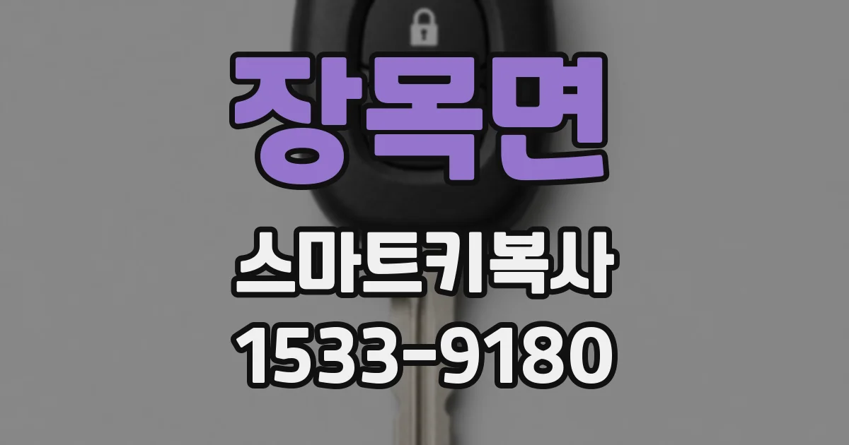 장목면 스마트키복사