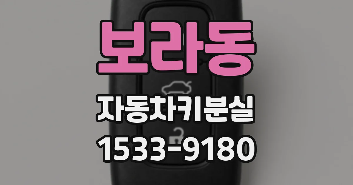 보라동 자동차키분실