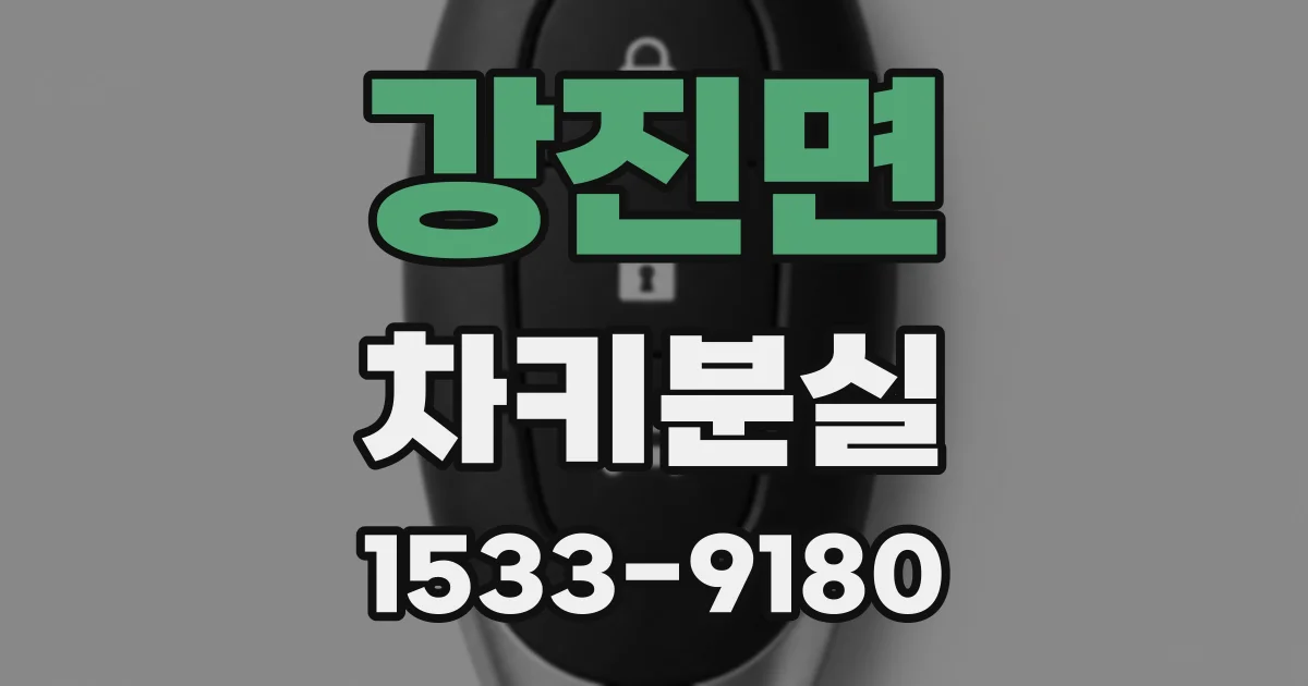 강진면 차키분실