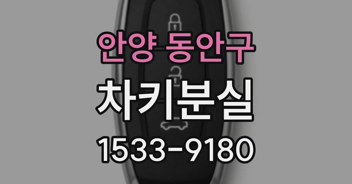 안양 동안구 차키분실