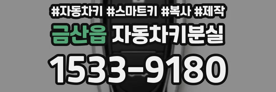 금산읍 자동차키분실