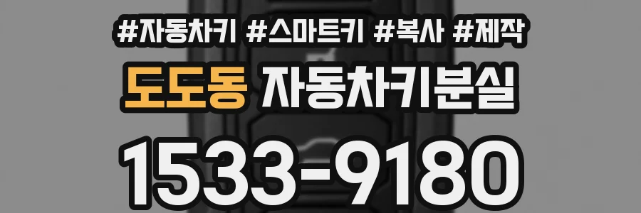 도도동 자동차키분실