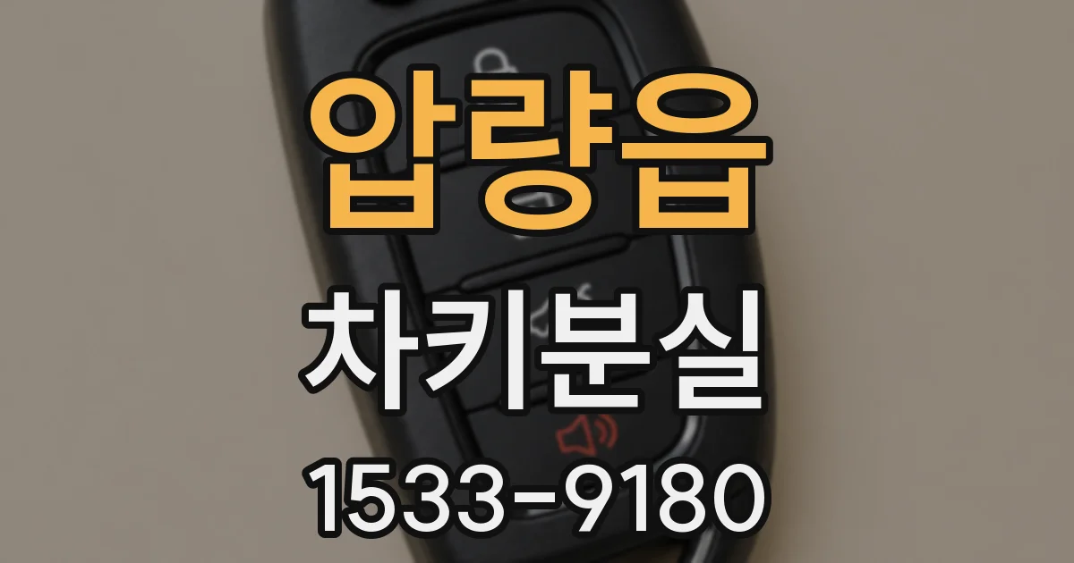압량읍 차키분실