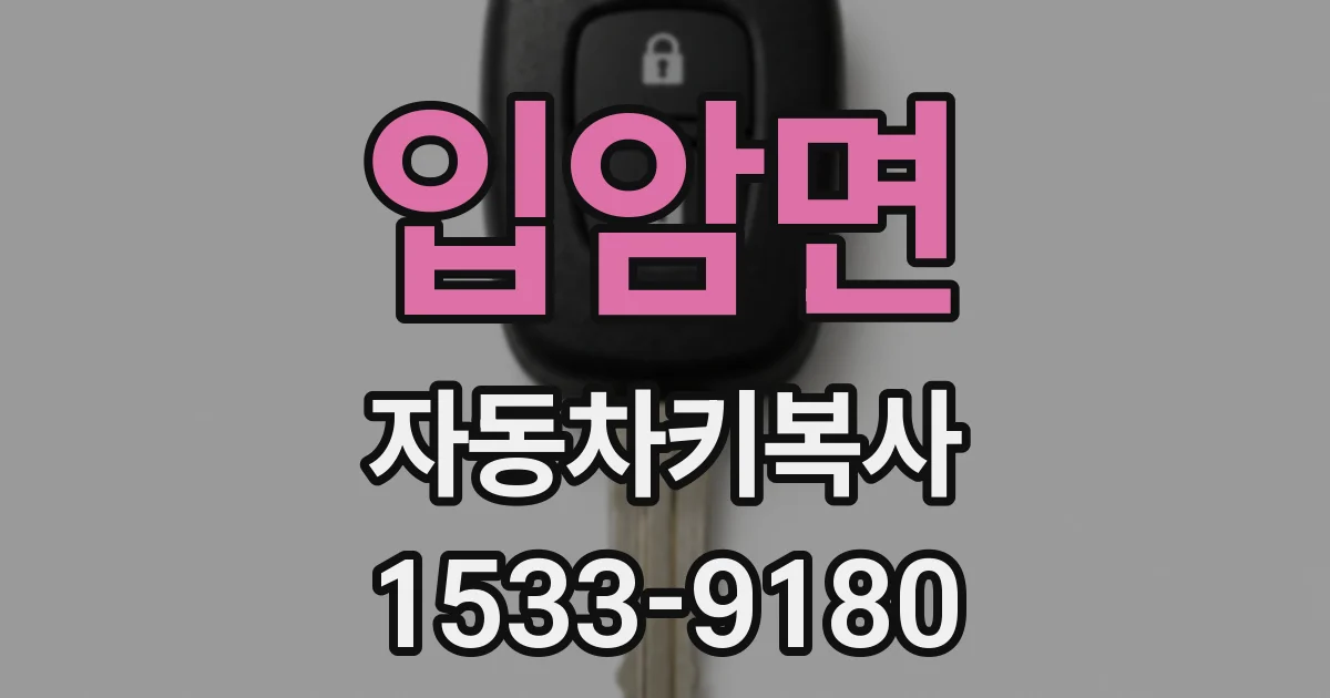 입암면 자동차키복사
