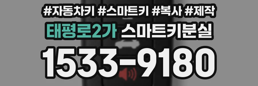 태평로2가 스마트키분실