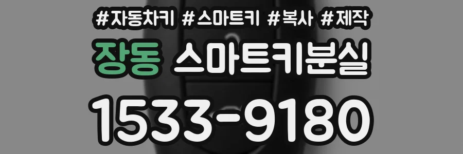 장동 스마트키분실