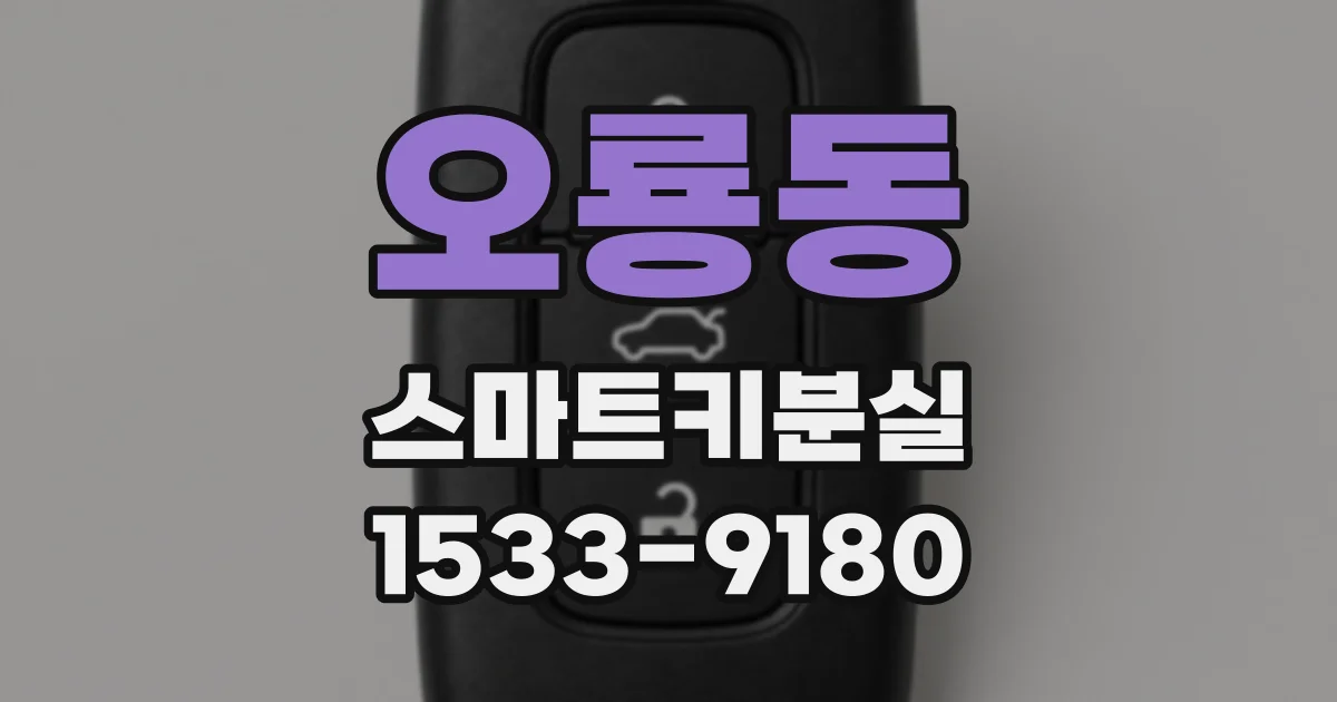 오룡동 스마트키분실