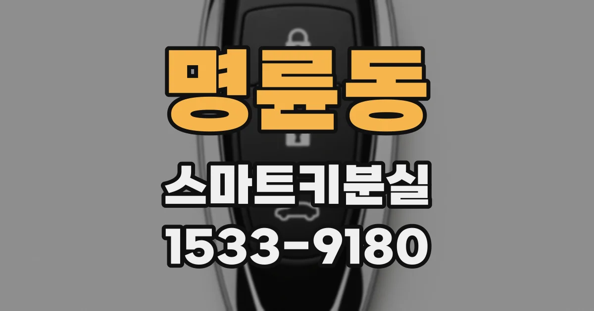 명륜동 스마트키분실