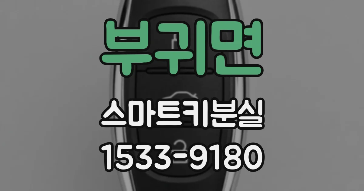 부귀면 스마트키분실