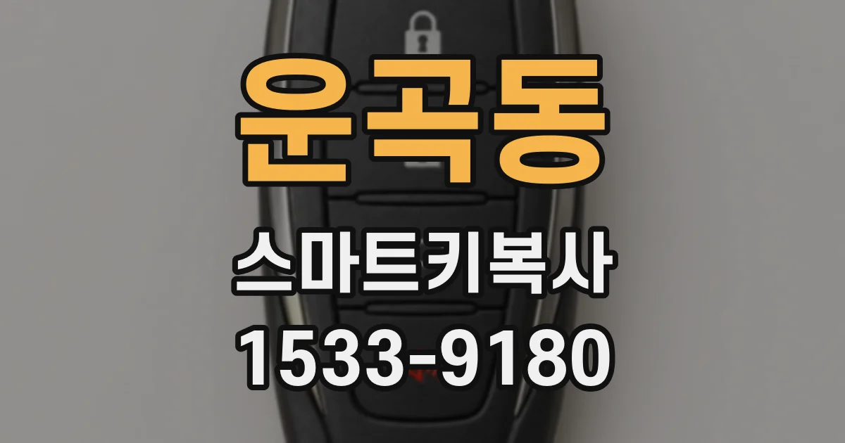 운곡동 스마트키복사