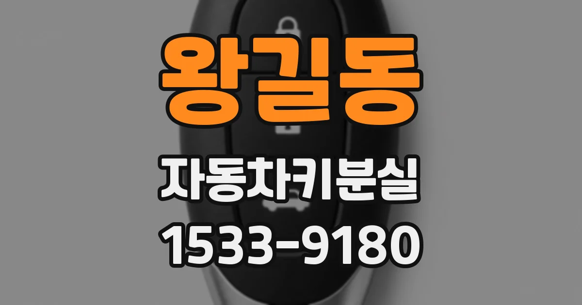 왕길동 자동차키분실