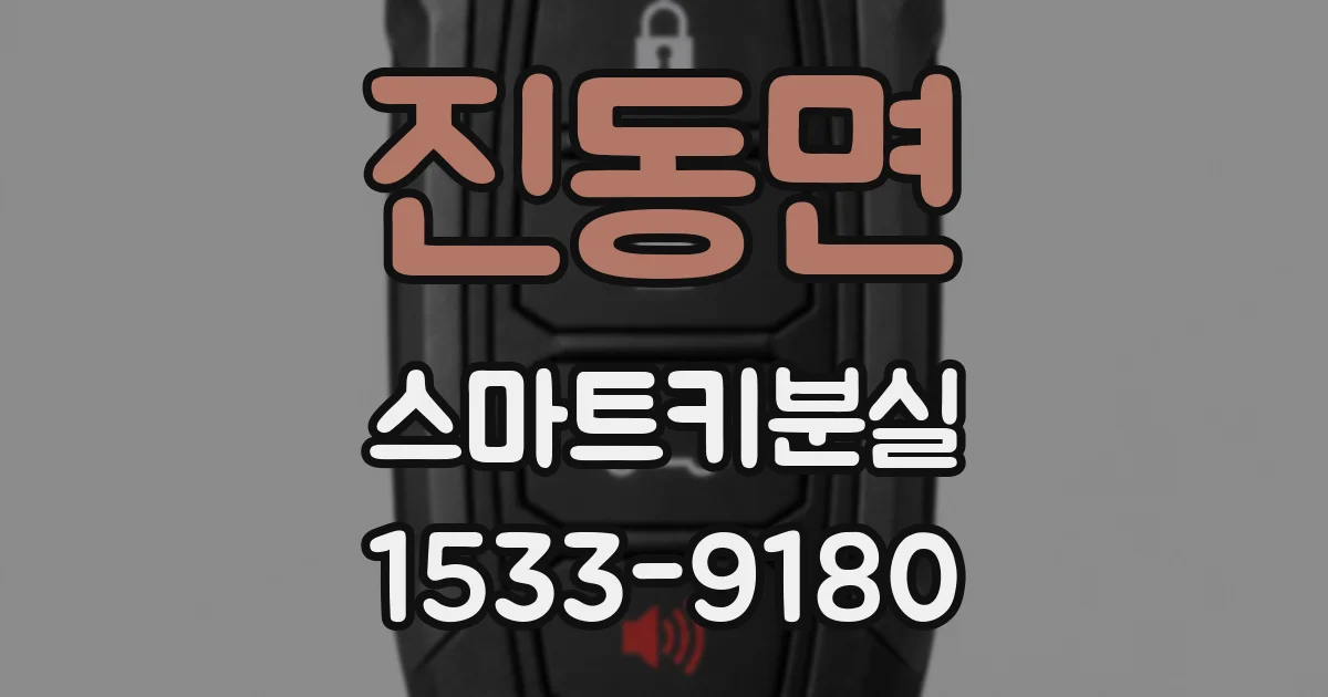 진동면 스마트키분실