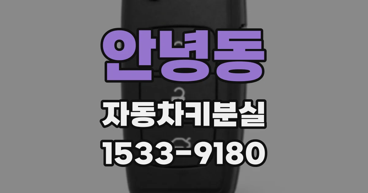 안녕동 자동차키분실