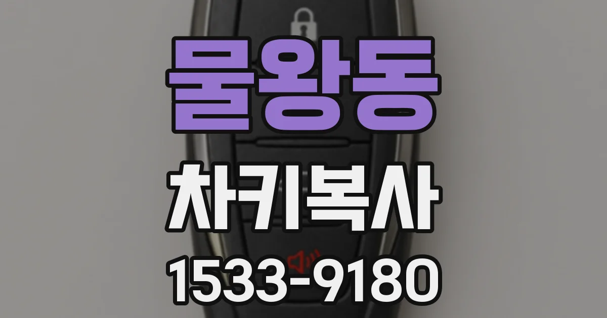 물왕동 차키복사