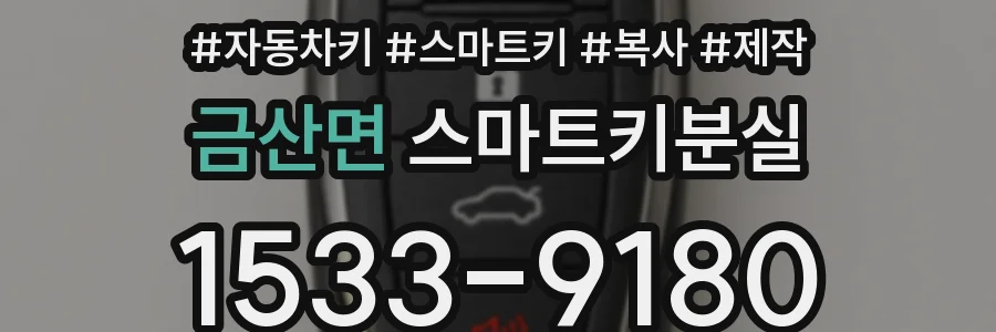 금산면 스마트키분실
