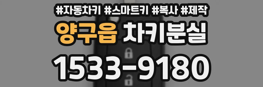 양구읍 차키분실