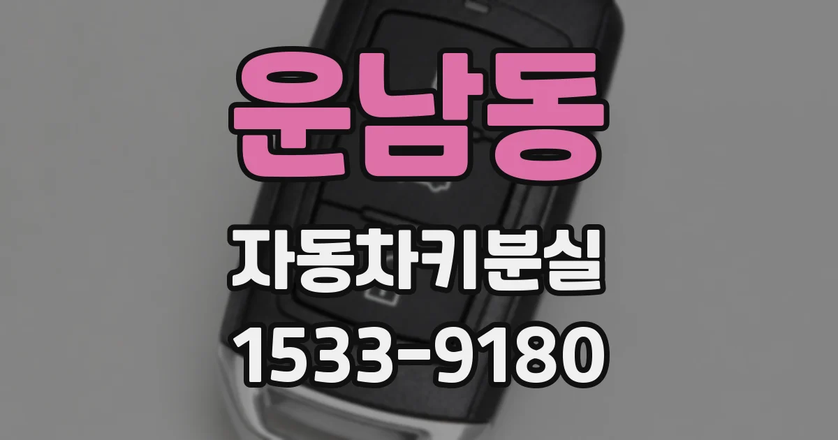 운남동 자동차키분실