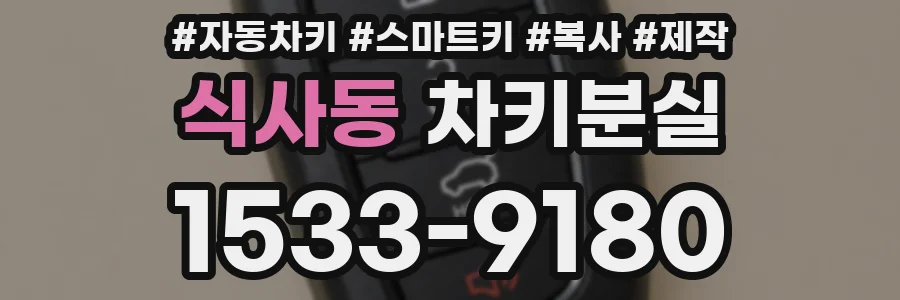 식사동 차키분실