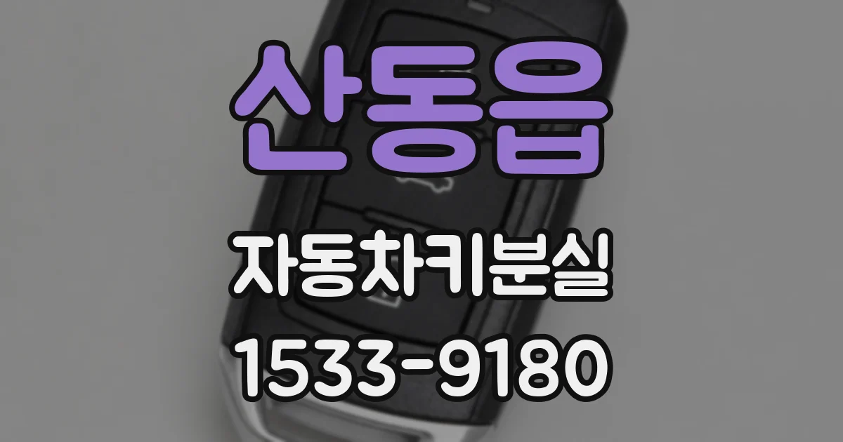 산동읍 자동차키분실