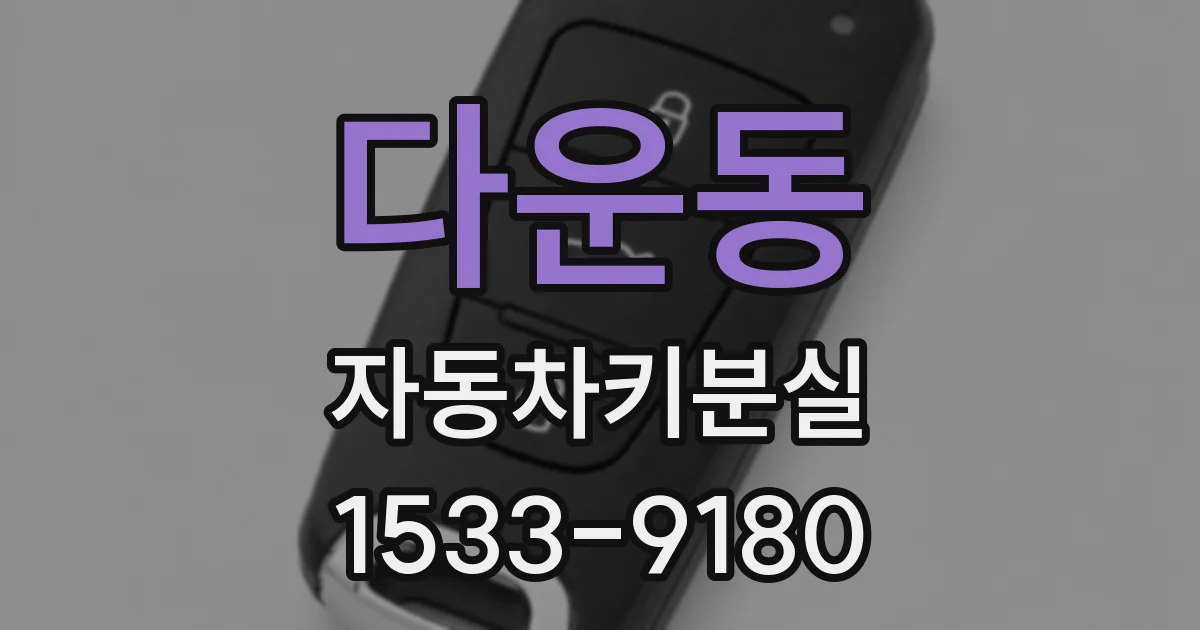 다운동 자동차키분실