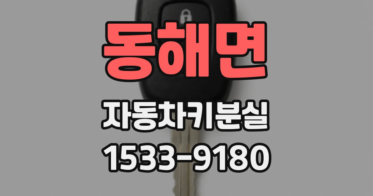동해면 자동차키분실
