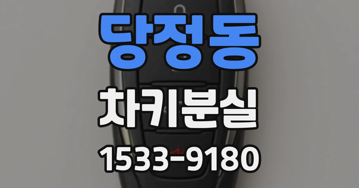 당정동 차키분실