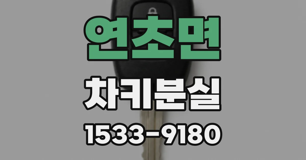 연초면 차키분실