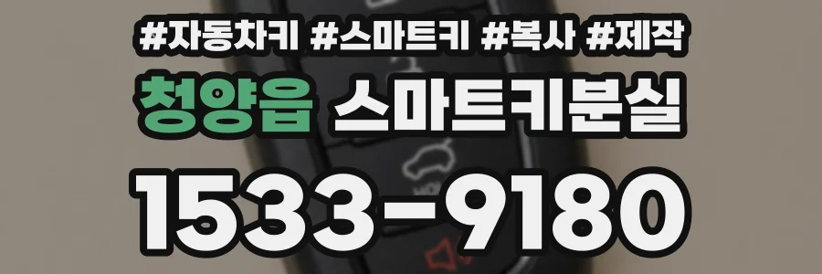 청양읍 스마트키분실