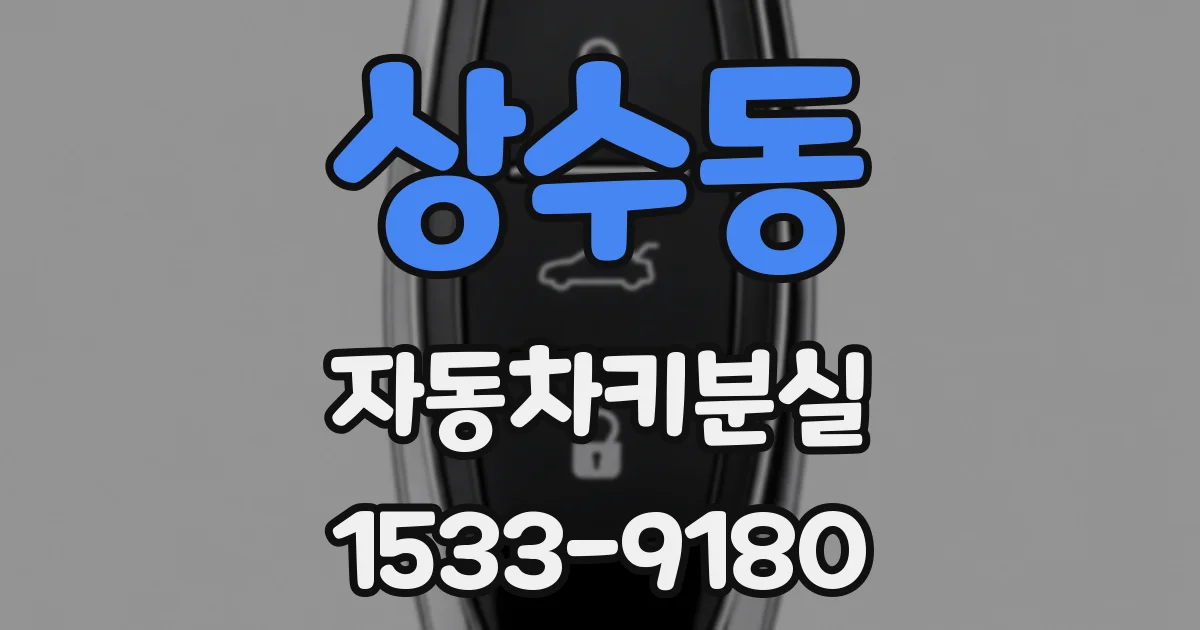 상수동 자동차키분실