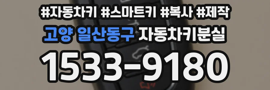 고양 일산동구 자동차키분실