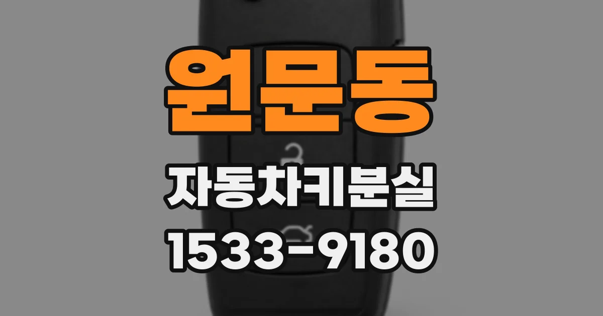 원문동 자동차키분실