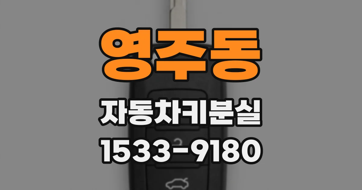 영주동 자동차키분실