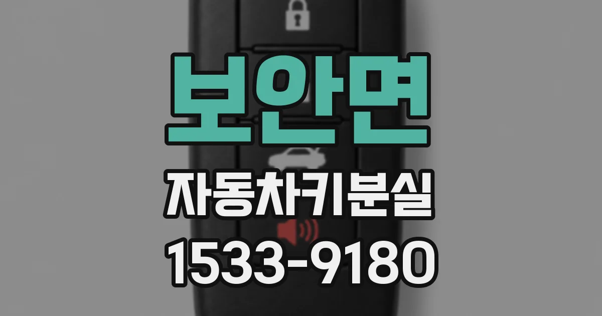 보안면 자동차키분실