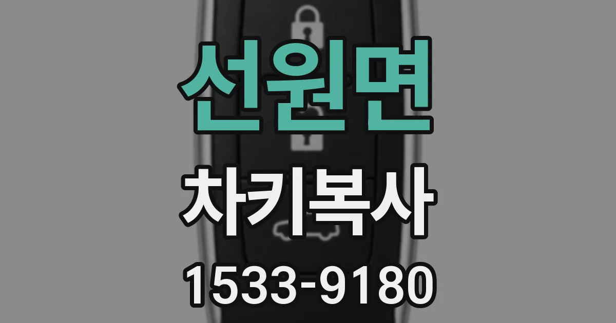 선원면 차키복사