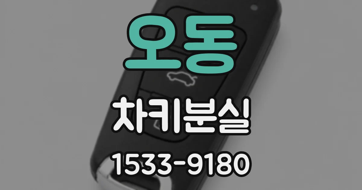 오동 차키분실