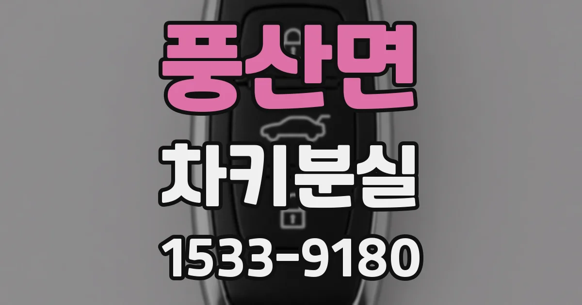 풍산면 차키분실