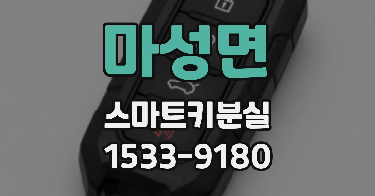 마성면 스마트키분실