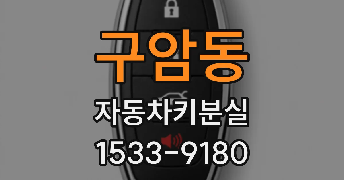 구암동 자동차키분실