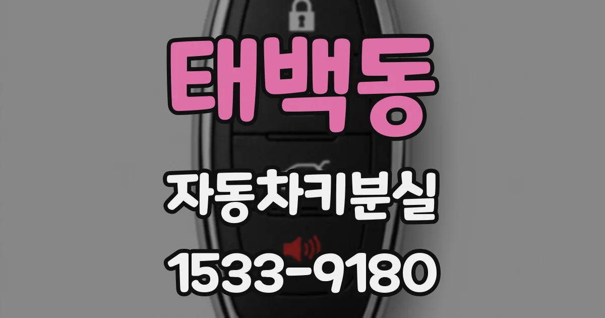 태백동 자동차키분실