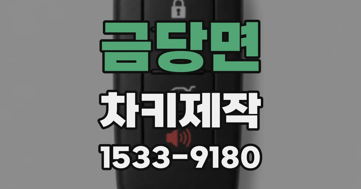 금당면 차키제작
