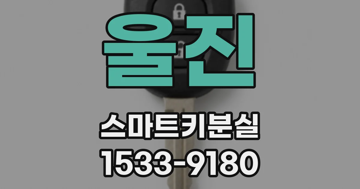 울진 스마트키분실